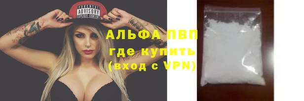 сатива Баксан