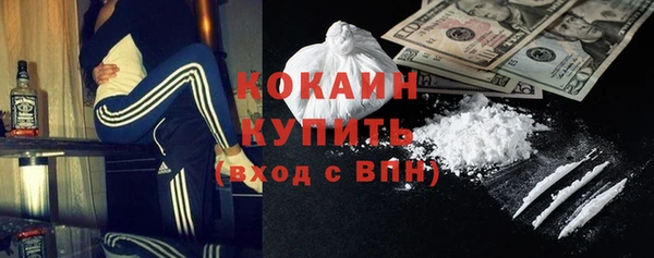 сатива Баксан