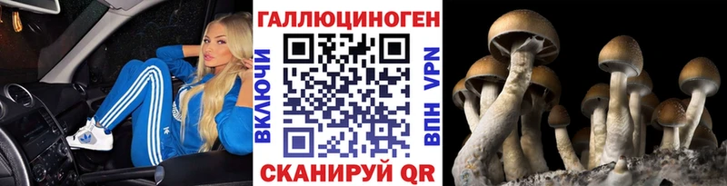 магазин    Ливны  Псилоцибиновые грибы MAGIC MUSHROOMS 